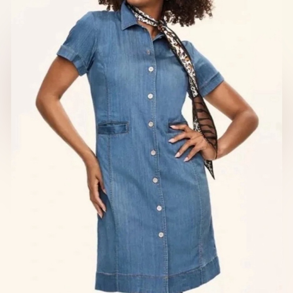 CAbi piece of cake denim Button-Front Shirt Dress small
